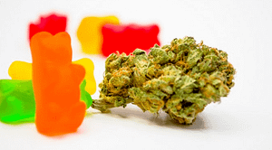 CBD Gummies